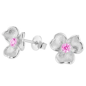 Lumoava_ANNA korvakorut_hopeaa_pinkki_L54263850000_6438017236817_WEB 754x10