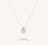 Silver coin